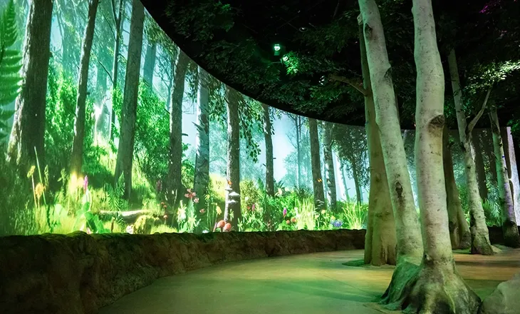 森林映像を映す大型スクリーンと人工樹木が並ぶPrimate ForestのForest Home