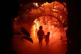 夜の植物園を光と映像で演出したLIGHT CYCLES KYOTOの会場風景