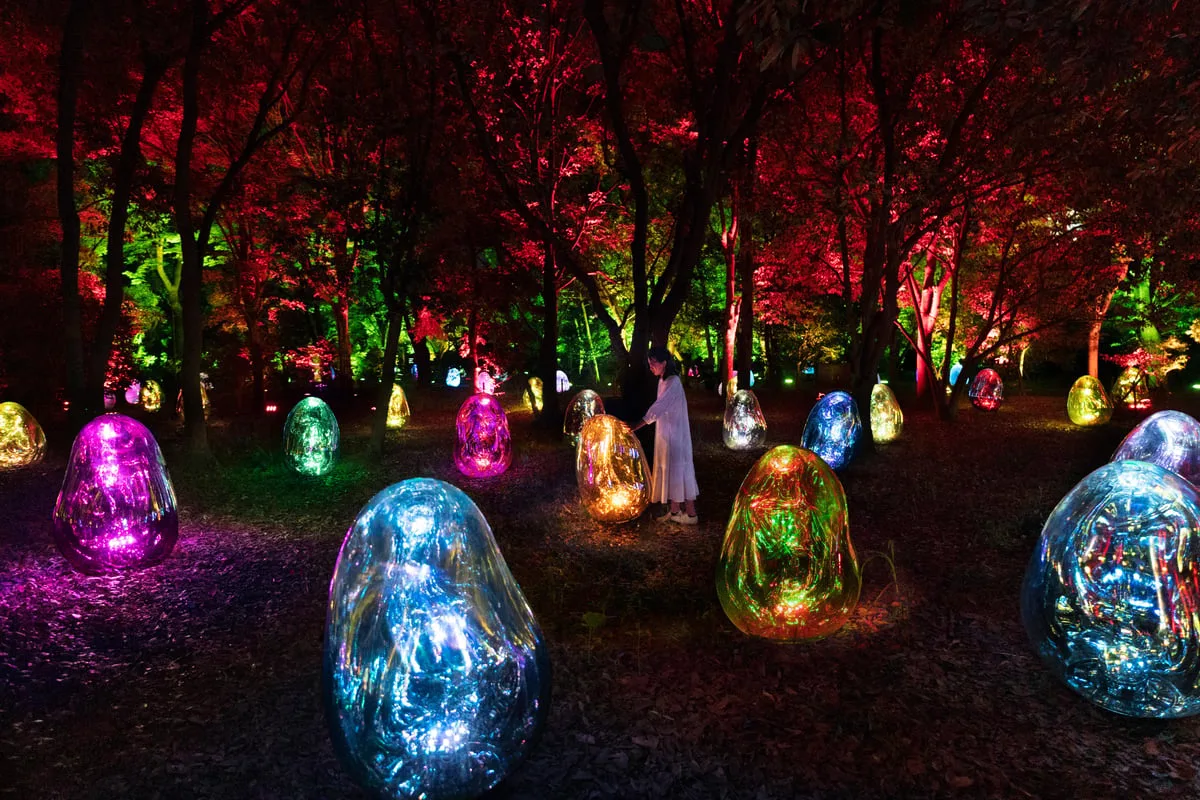 teamLab Botanical Garden Osakaで光に照らされた植物園